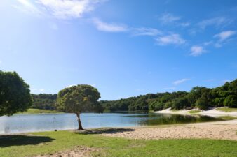 Parque Metropolitano do Abaeté celebra 32 anos com entrega de obras de requalificação nesta quarta (3)