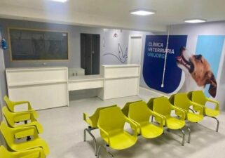 Outubro Rosa Pet: Unijorge promove ação social para prevenção do câncer de mama em cadelas e gatas