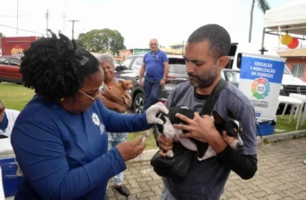 Vacinação antirrábica imuniza mais de 310 mil animais em Salvador